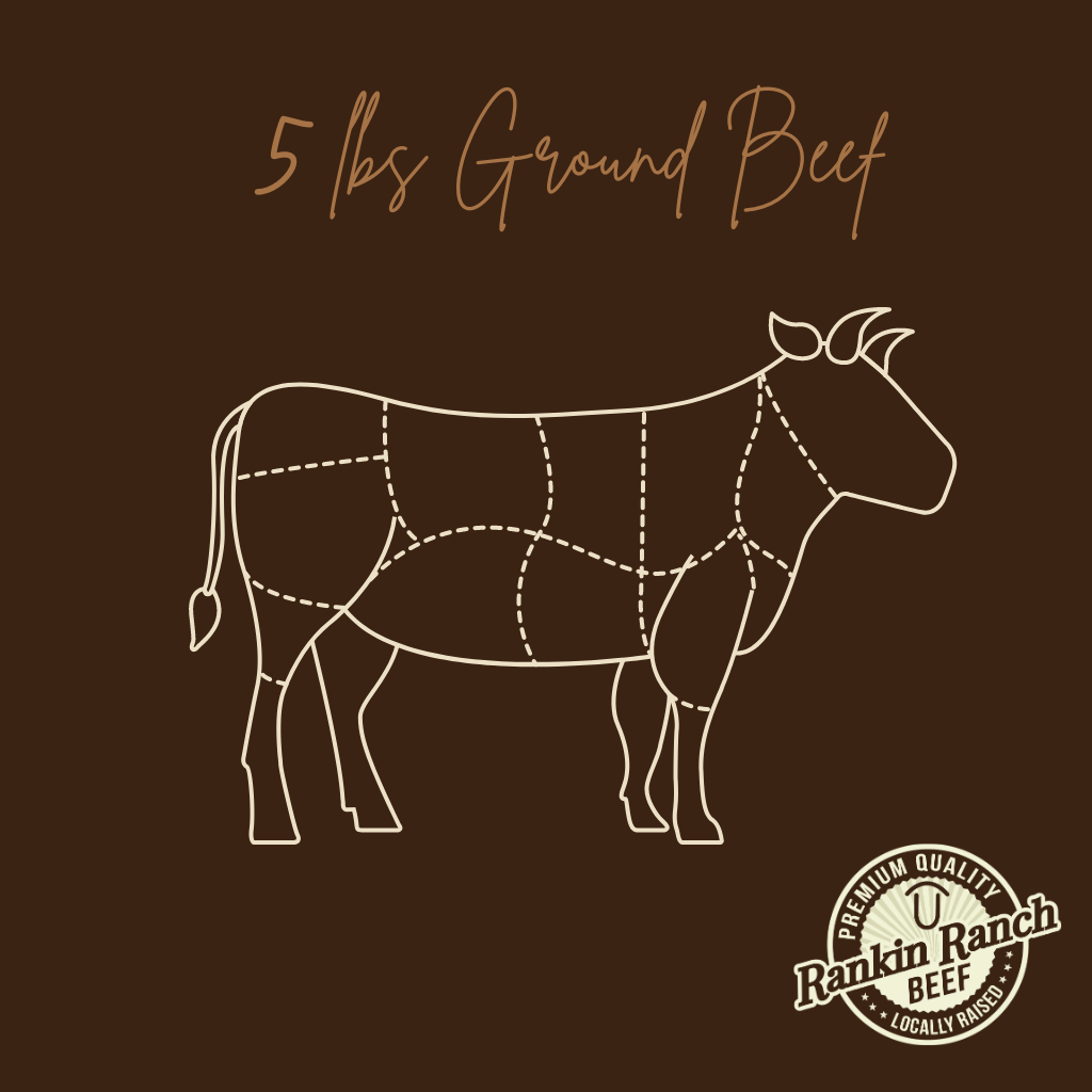 5 lbs of Ground Beef