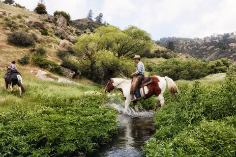 California Ranch Raised Kids Book