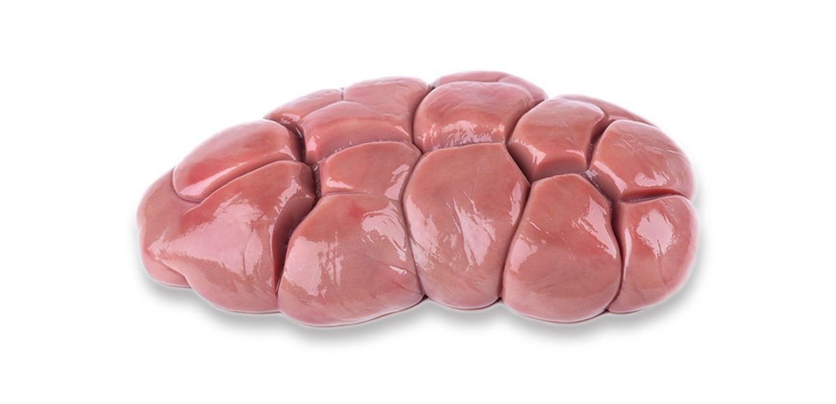 Kidney